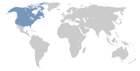 North America maps